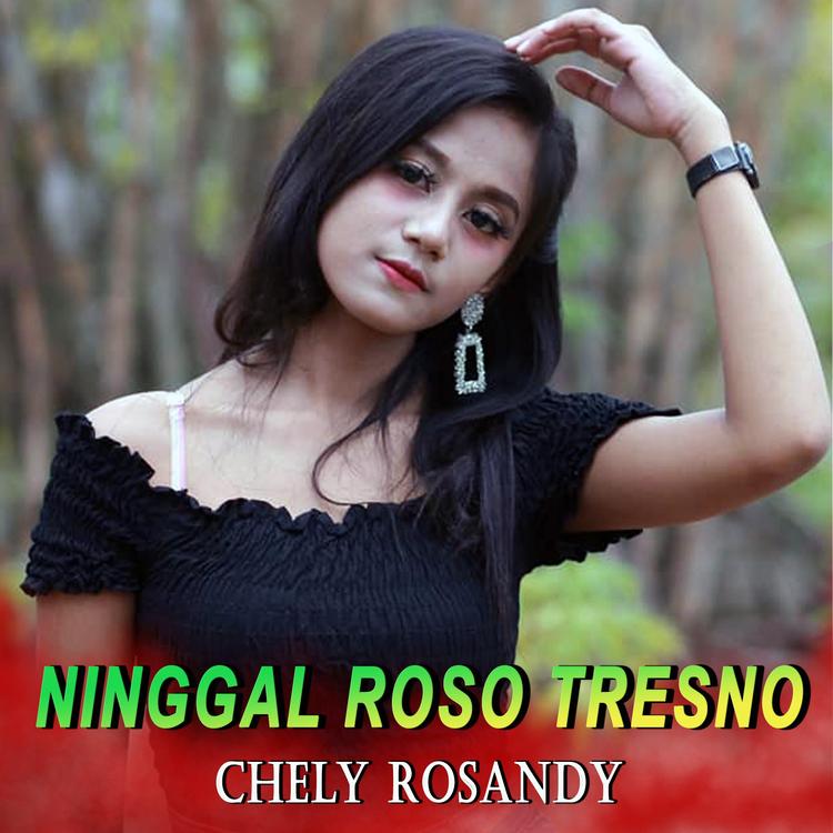 Chely Rosandy's avatar image