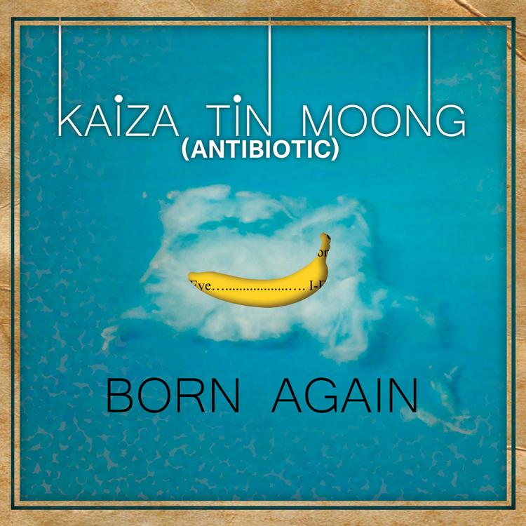 Kaiza Tin Moong's avatar image