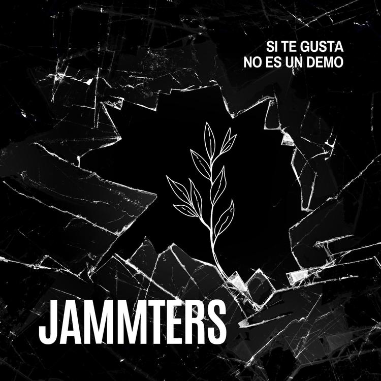 Jammters's avatar image