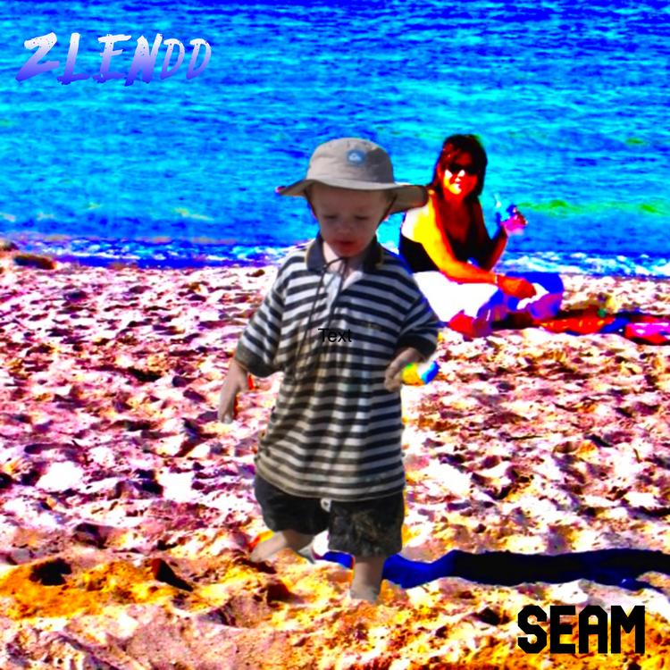Seam's avatar image