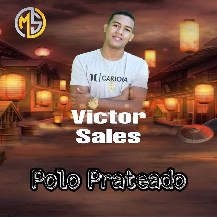 Victor Sales's avatar image
