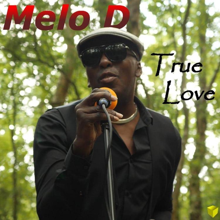 Melo D's avatar image
