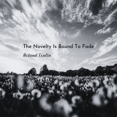The Novelty Is Bound To Fade's cover