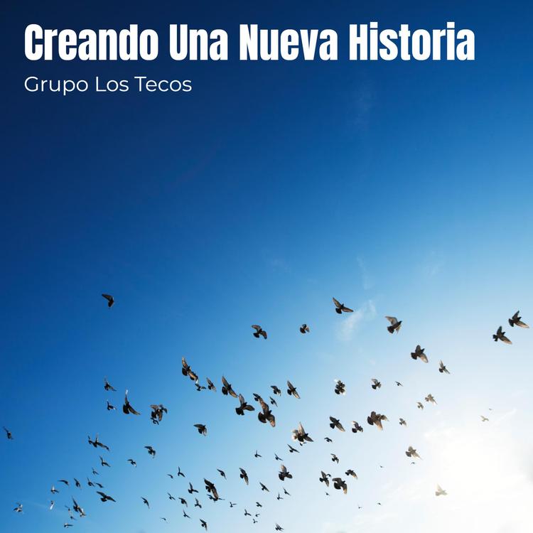 Grupo Los Tecos's avatar image