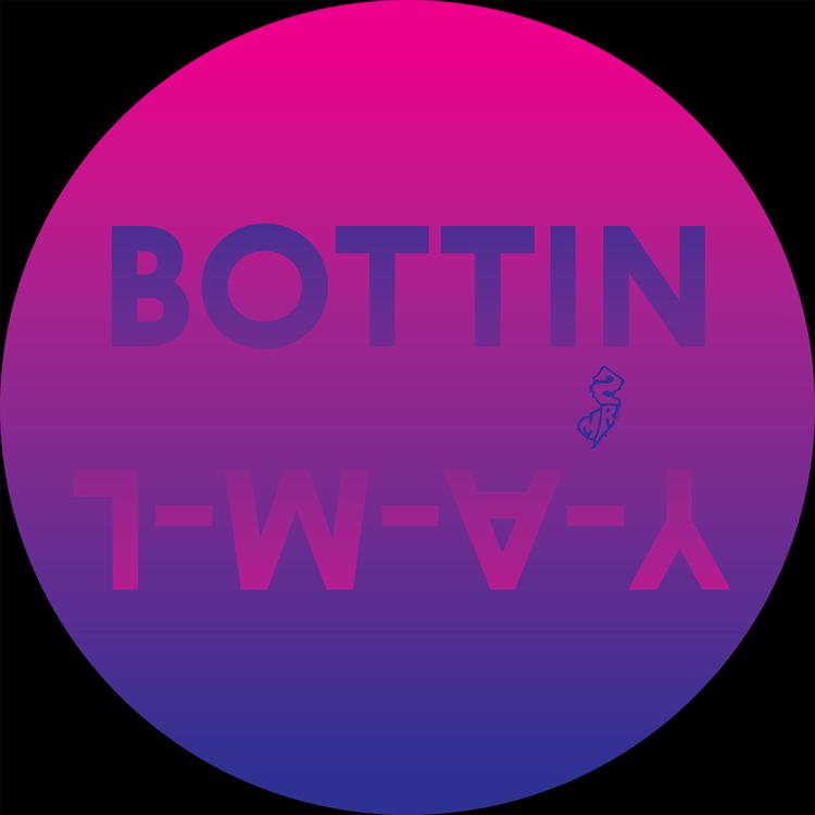 Bottin's avatar image