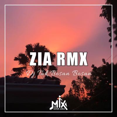 Zia Rmx's cover