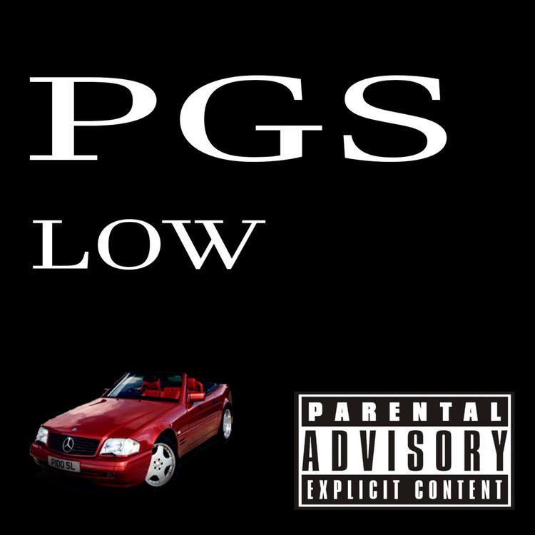 PGS's avatar image