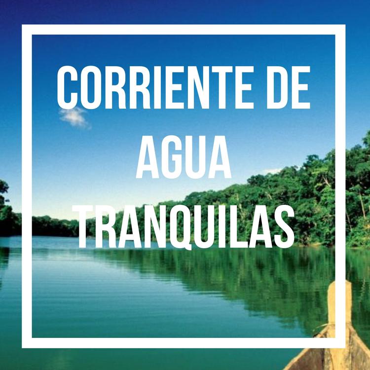 Musica De Agua Relajante's avatar image