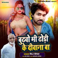 Raj Bhai's avatar cover