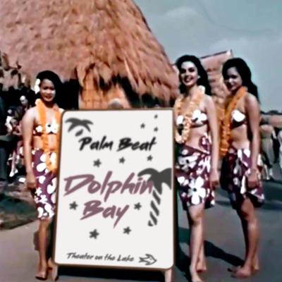 Dolphin Bay's cover