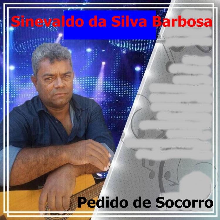 Sinevaldo da Silva Barbosa's avatar image