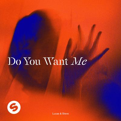 Do You Want Me By Lucas & Steve's cover