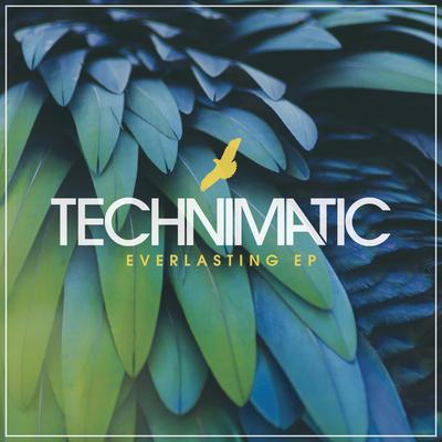 Everlasting By Technimatic's cover