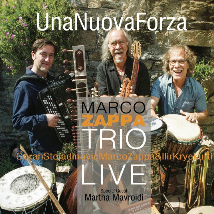 Marco Zappa Trio's avatar image