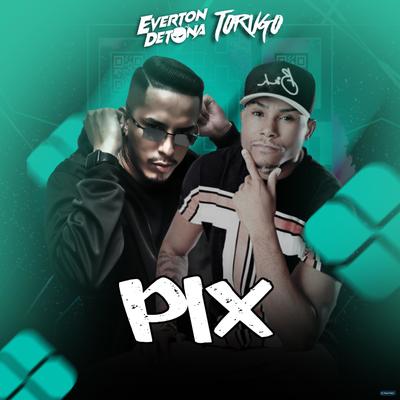 Pix By MC Torugo, DJ Everton Detona's cover