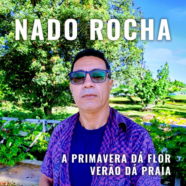 Nado Rocha's avatar image