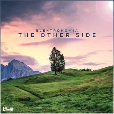 The Other Side By Elektronomia's cover