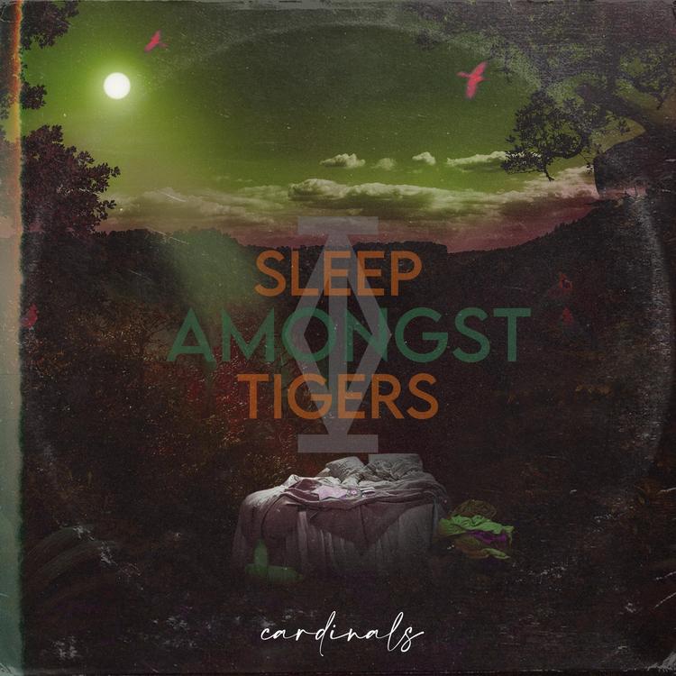 Sleep Amongst Tigers's avatar image