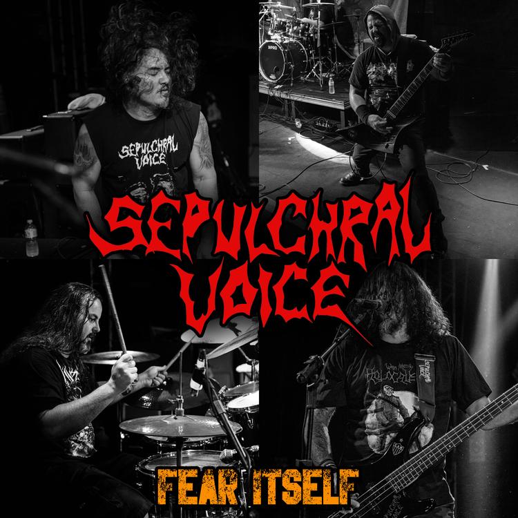 Sepulchral Voice's avatar image