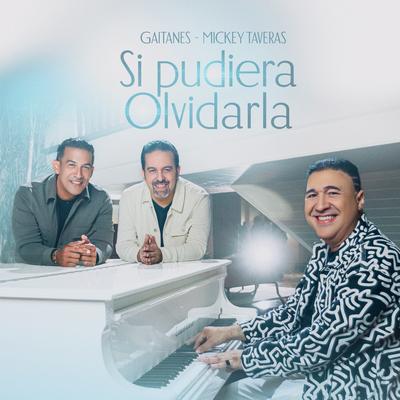 Si Pudiera Olvidarla's cover