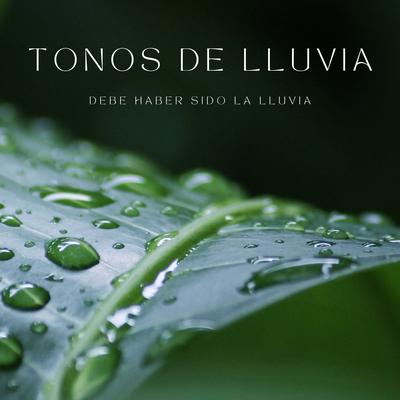 Meditación De La Lluvia's cover