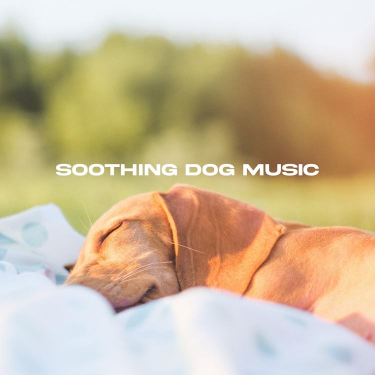 Soothing Dog Music's avatar image