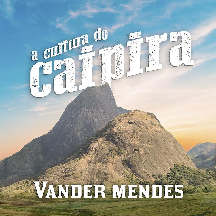 Vander Mendes's avatar image