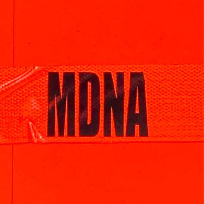MDNA + 6's cover