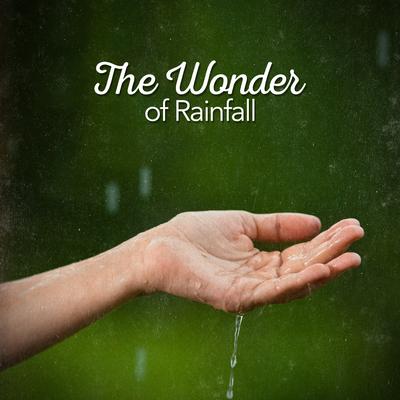 The Wonder of Rainfall's cover