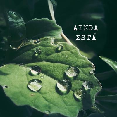 Ainda Está's cover