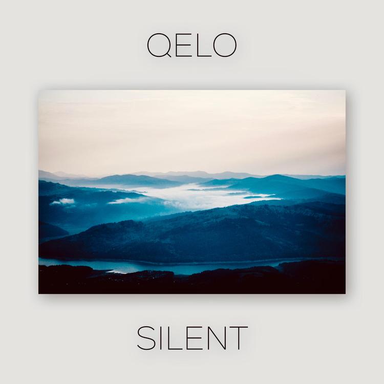 QELO's avatar image