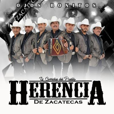 Herencia de Zacatecas's cover