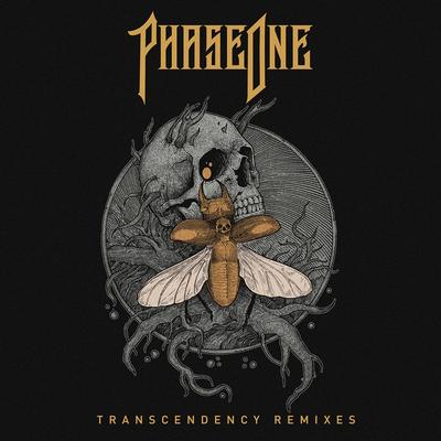 TRANSCENDENCY Remixes's cover