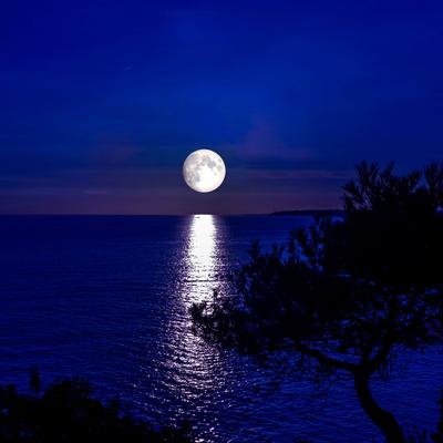 Flowing Waters of Peace: Serenade Under Moonlight's cover