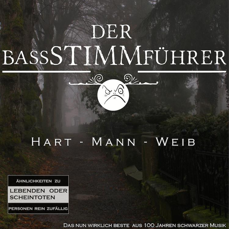 Der Bassstimmführer's avatar image