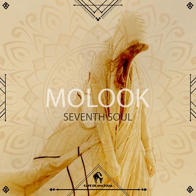 Molook's cover