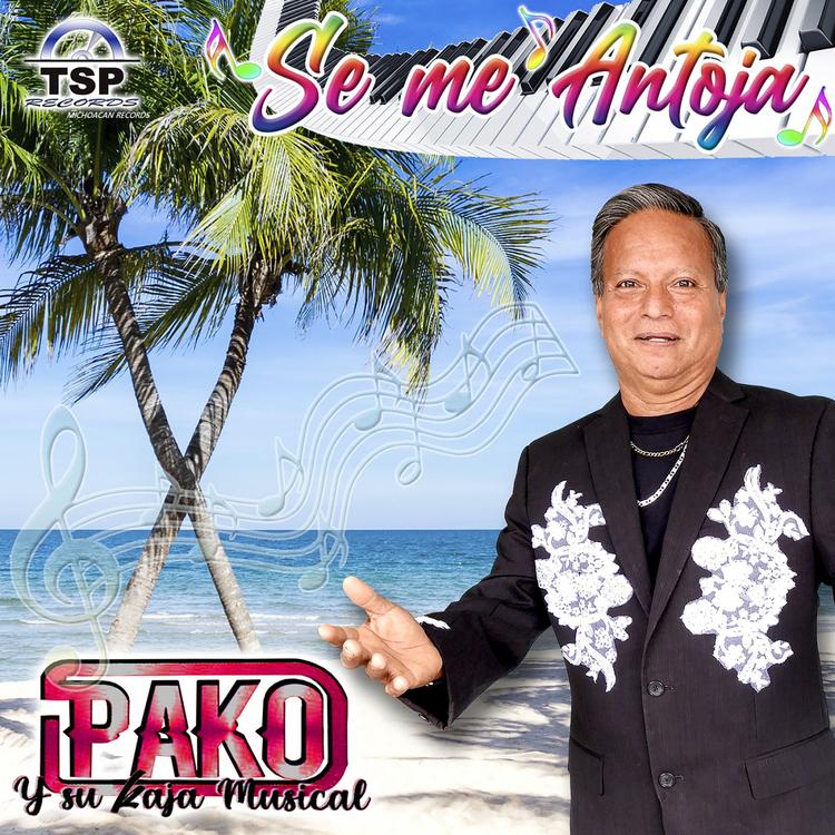 Pako Y Su Kaja Musical's avatar image