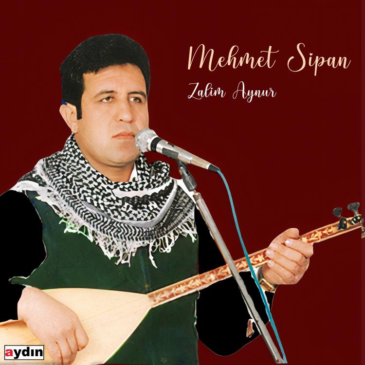 Mehmet Sipan's avatar image