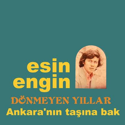 Dönmeyen Yıllar - Ankara'nın Taşına Bak's cover