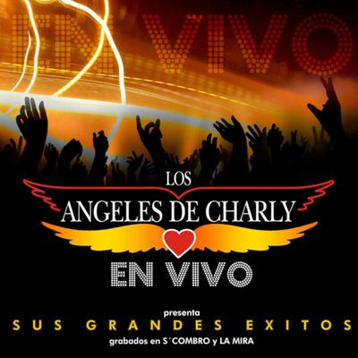 En Vivo - Sus Grandes Éxitos's cover