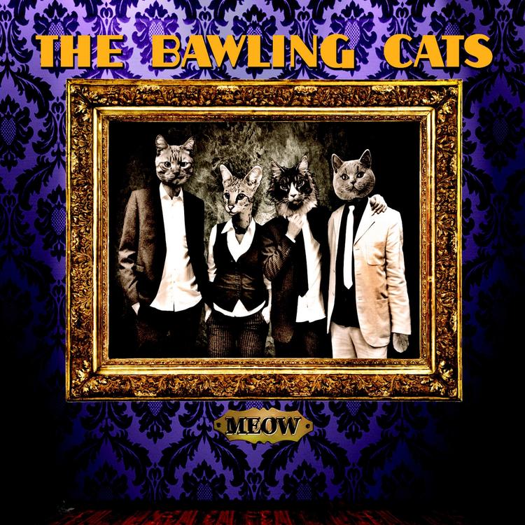The Bawling Cats's avatar image
