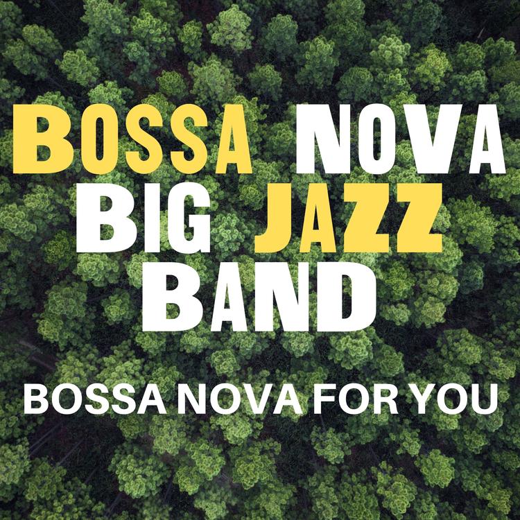 Bossa Nova Big Jazz Band's avatar image