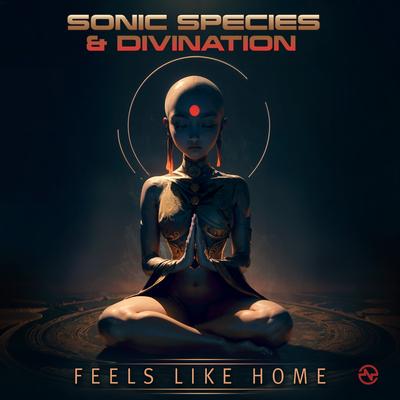 Feels Like Home By Sonic Species, Divination's cover