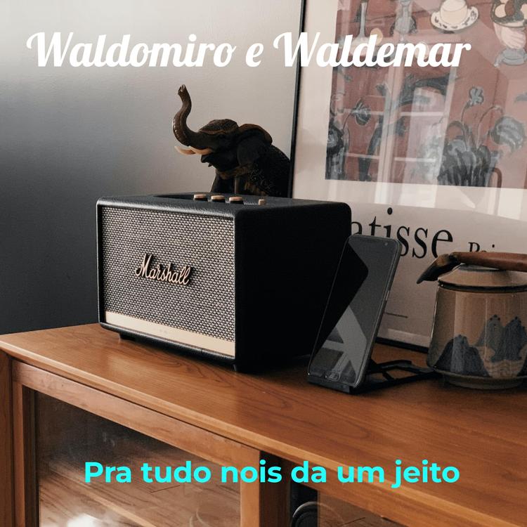 Waldomiro E Waldemar's avatar image