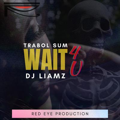 Wait 4 U By Trabol Sum, DJ Liamz's cover