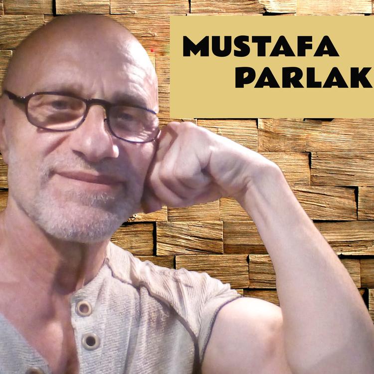 Mustafa Parlak's avatar image
