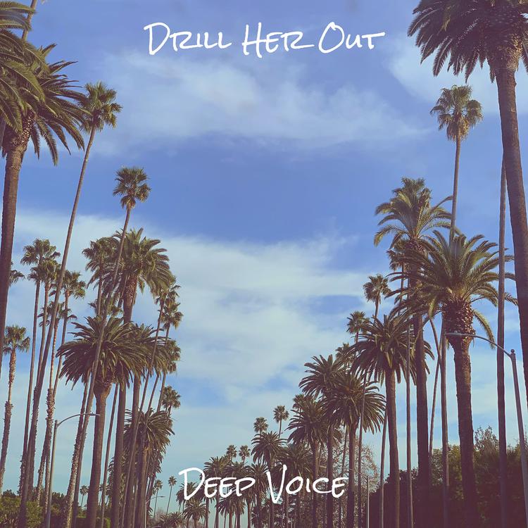 Deep Voice's avatar image