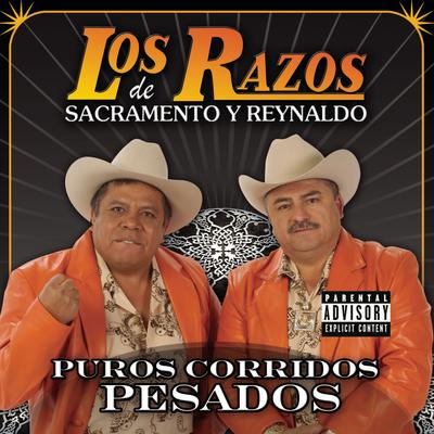 Puros Corridos Pesados's cover