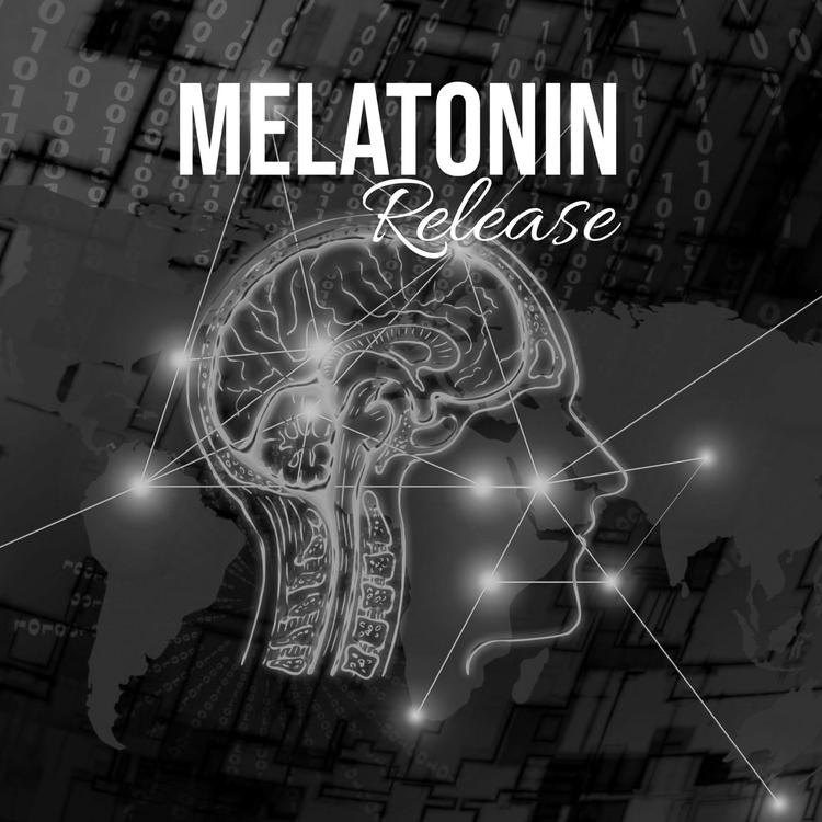 Melatonin Release's avatar image