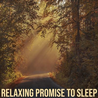 Relaxing promise to Sleep's cover